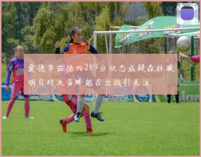 爱德华兹场均289分状态成疑森林狼明日对决黄蜂能否出战引关注